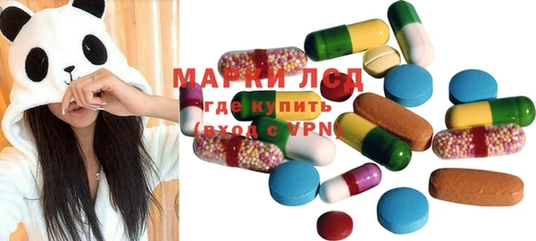 прущие грибы Гусев