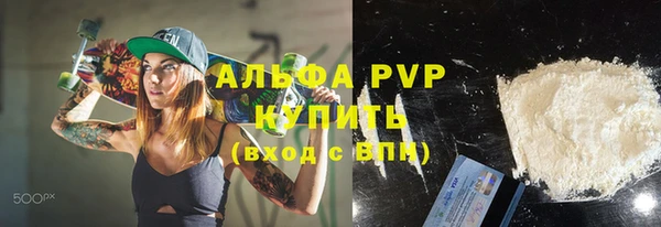 прущие грибы Гусев