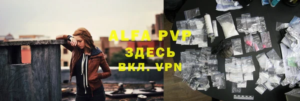 прущие грибы Гусев