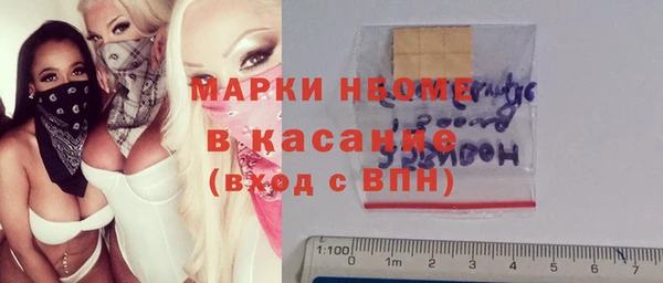 прущие грибы Гусев