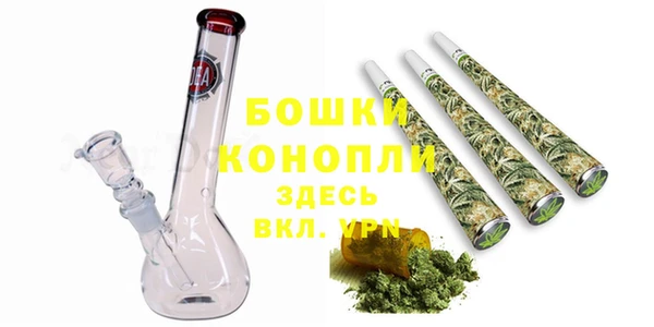 прущие грибы Гусев