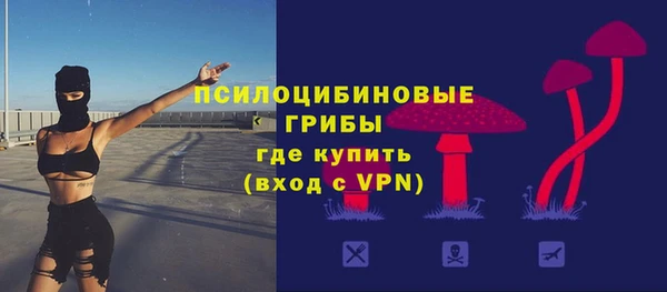 прущие грибы Гусев