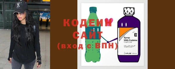 прущие грибы Гусев