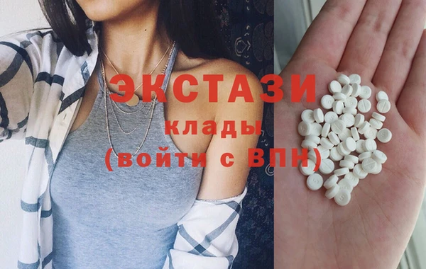 прущие грибы Гусев