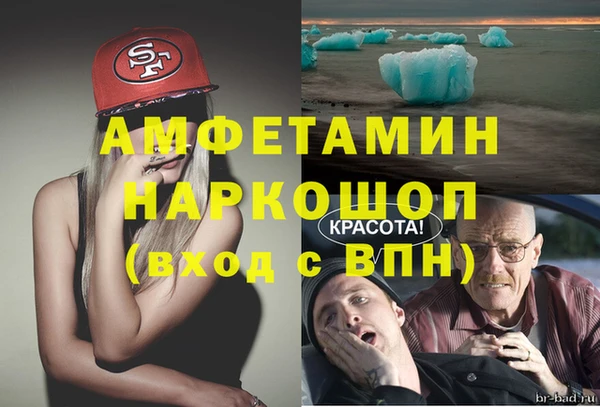 прущие грибы Гусев