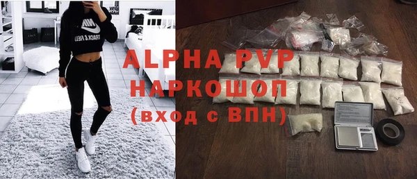 прущие грибы Гусев