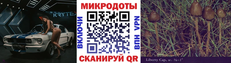 Галлюциногенные грибы Magic Shrooms  Новая Усмань 